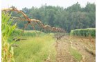 Property photo 49 - 21 Multiple Span Irrigation Pivots, Offered Individually or Combination - Irrigation Equipment Auction